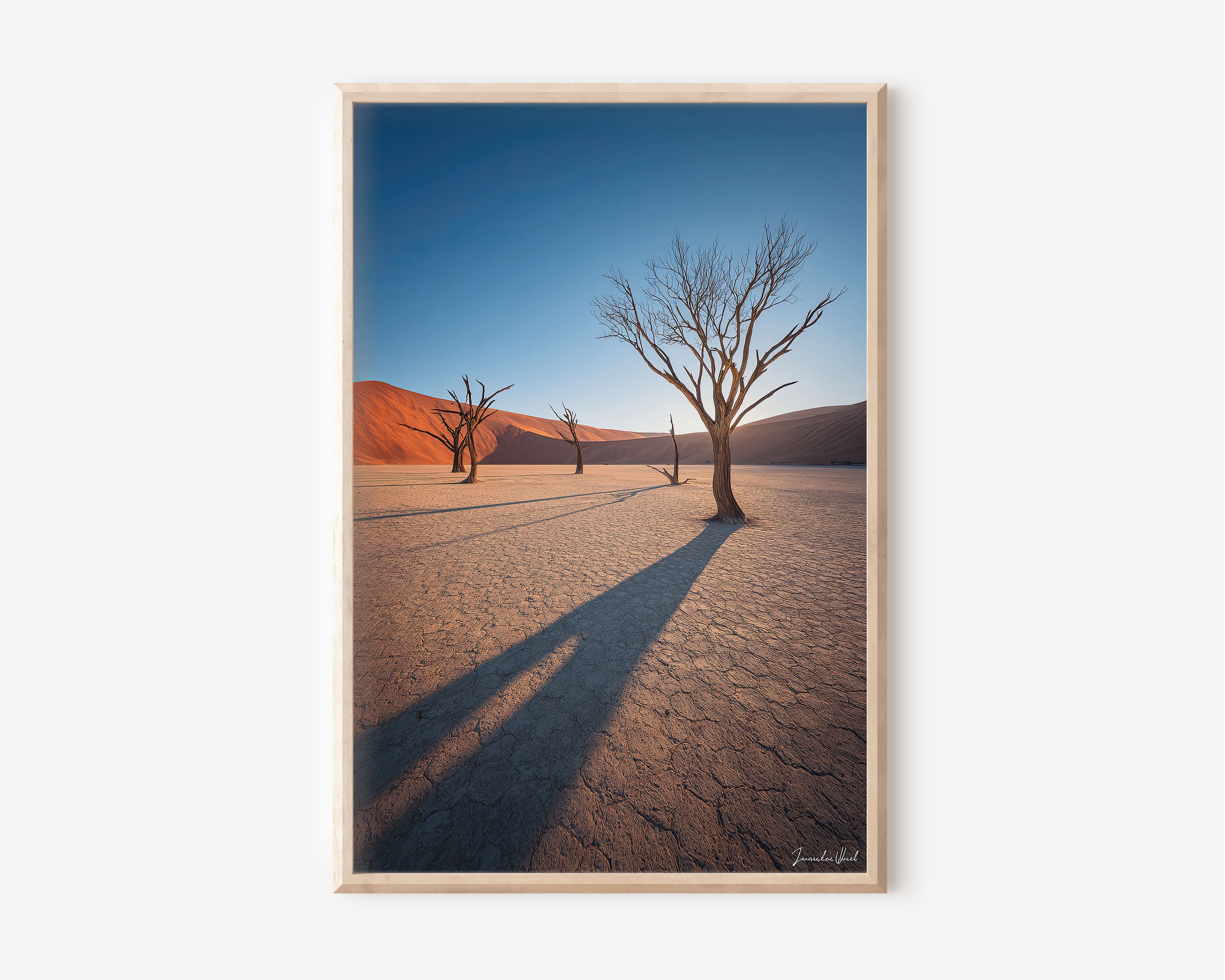 Deadvlei Dead Trees Wall Art Print | Namib Desert Namibia Camel Thorn Clay Pan Photography | Africa Travel Poster | Minimalist Desert Home Decor