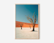Deadvlei Ancient Trees | Namib Desert Namibia Wall Art Print