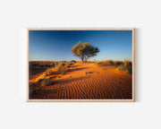 Great Sandy Desert Wall Art | Australian Red Sand Dunes Landscape