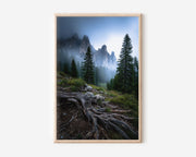Dolomites Misty Forest Roots Wall Art Print | Italy Mountain Fog Photography | Moody Pine Tree Rock Spire Poster