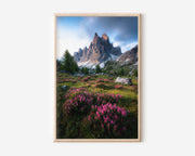 Dolomites Pink Wildflower Meadow Storm Wall Art Print | Italy Alpine Flower Photography | Cadini di Misurina Mountain Poster