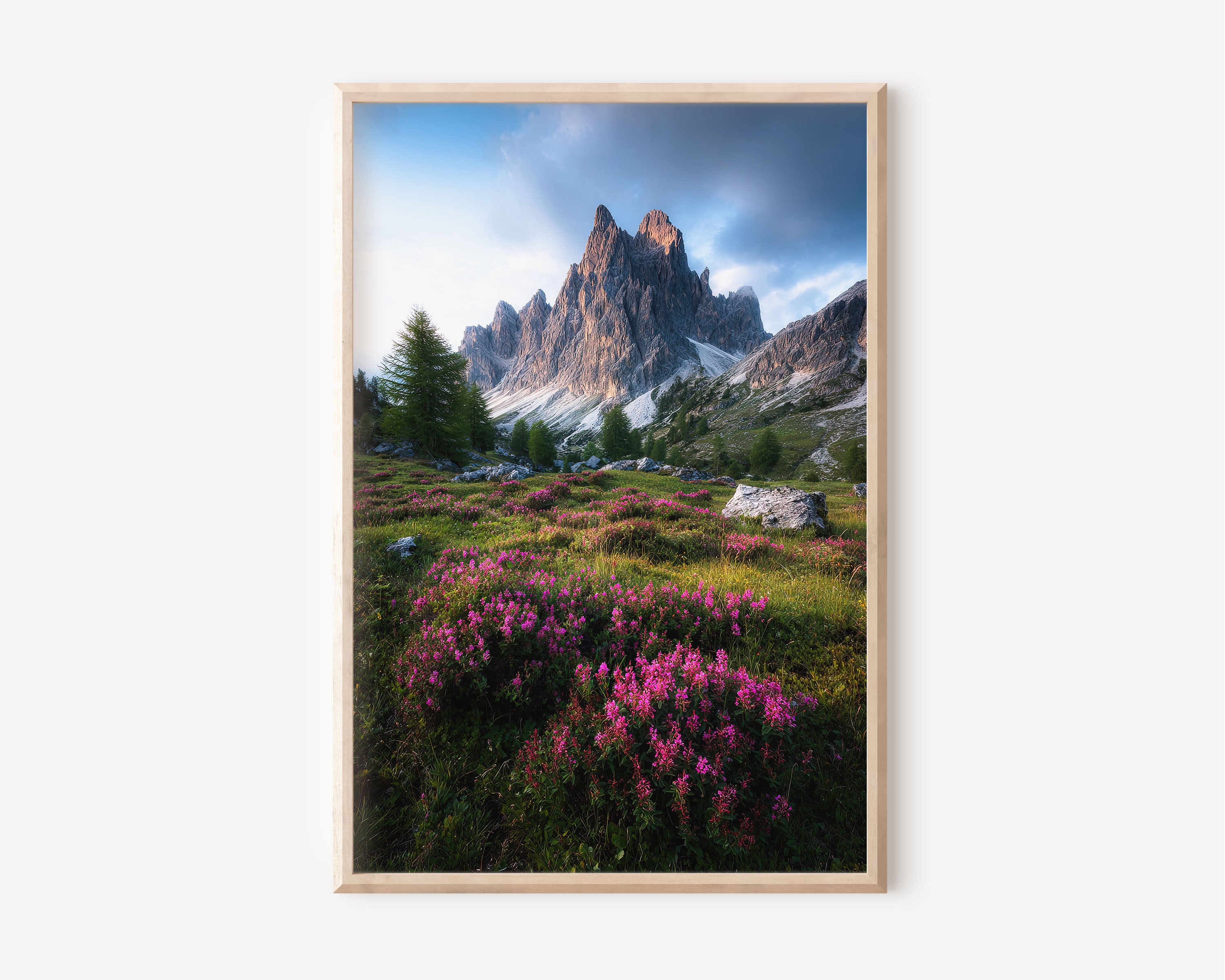 Dolomites Pink Wildflower Meadow Storm Wall Art Print | Italy Alpine Flower Photography | Cadini di Misurina Mountain Poster