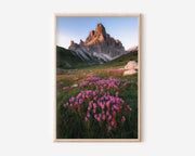 Dolomites Pink Wildflower Sunrise Wall Art Print | Passo di Giau Italy Photography | Alpine Meadow Alpenglow Mountain Poster