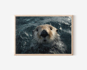 Monterey Sea Otter Wall Art – Coastal Wildlife Photography