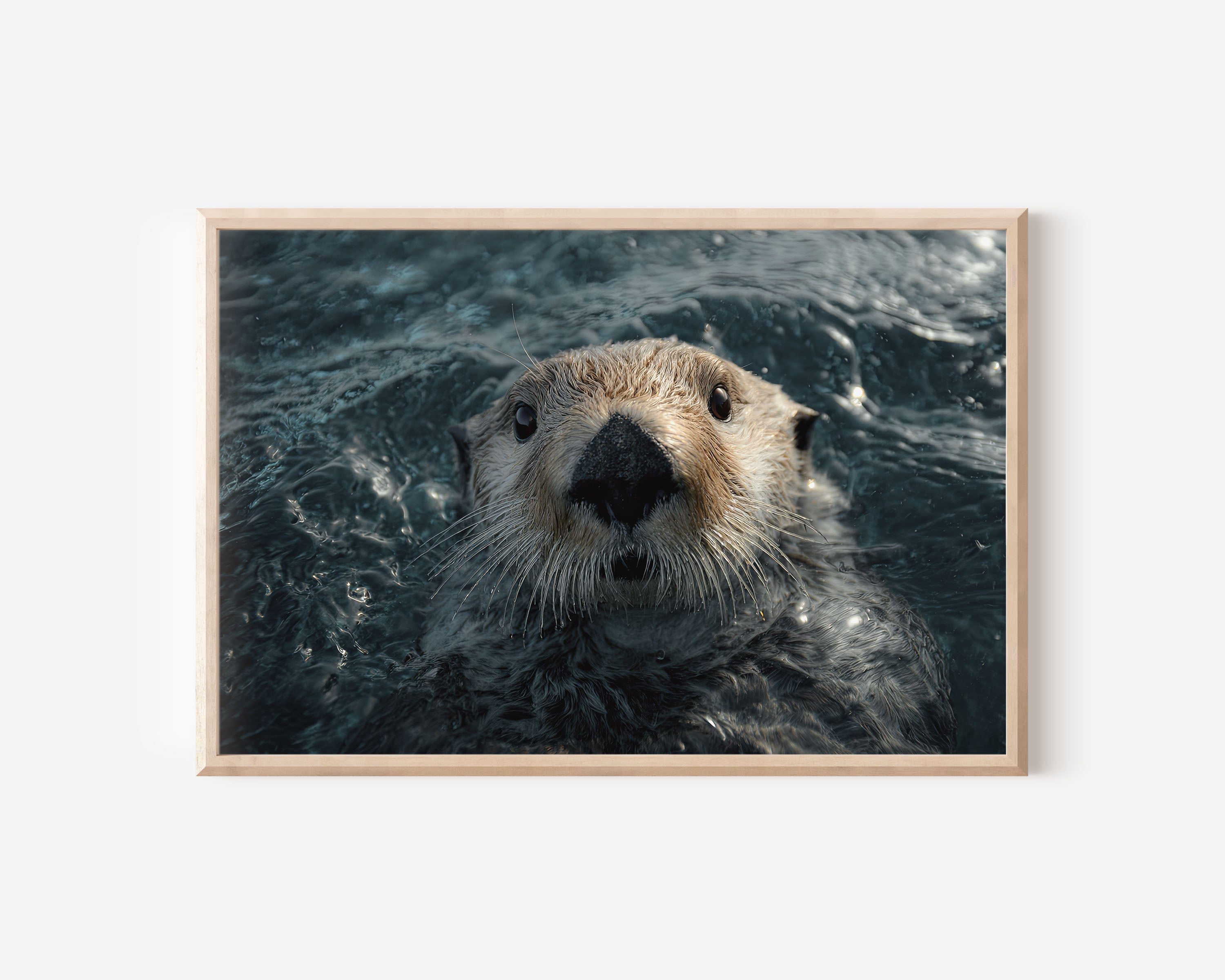 Monterey Sea Otter Wall Art – Coastal Wildlife Photography