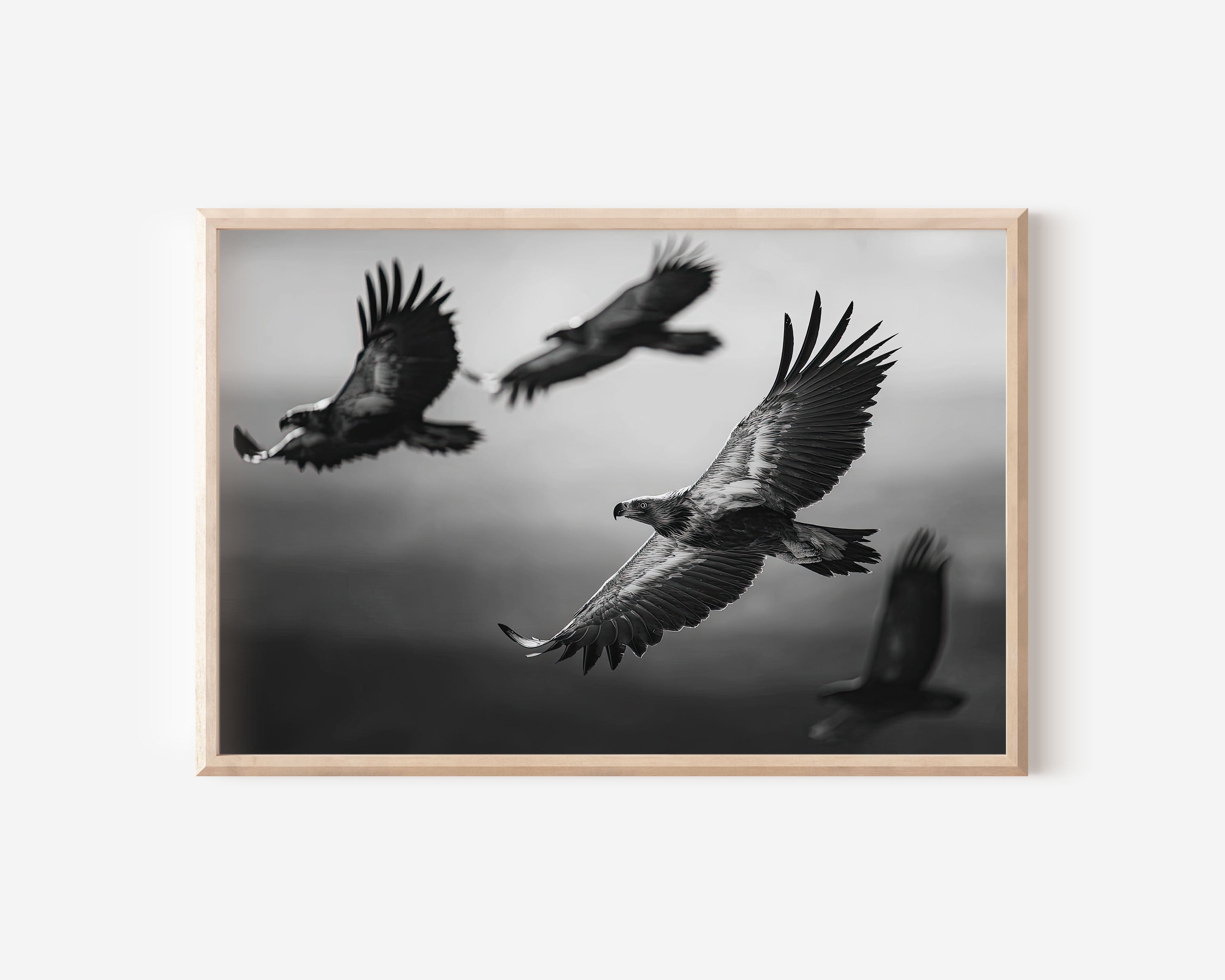 Eagles in Flight Black & White Wall Art