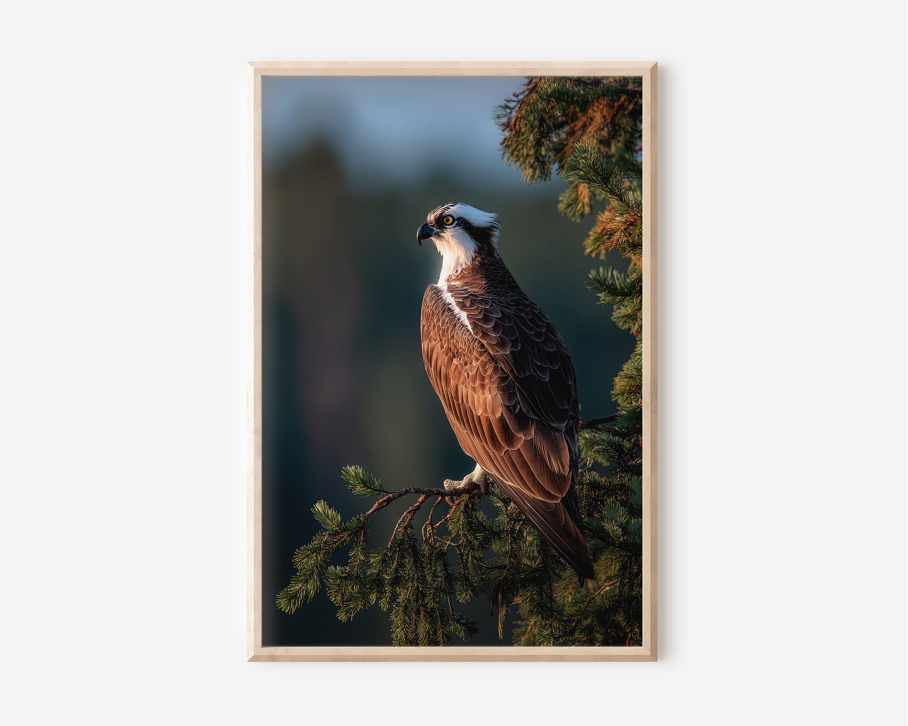 Osprey Wall Art Print – Elegant Bird of Prey Canvas, Wildlife Nature Decor