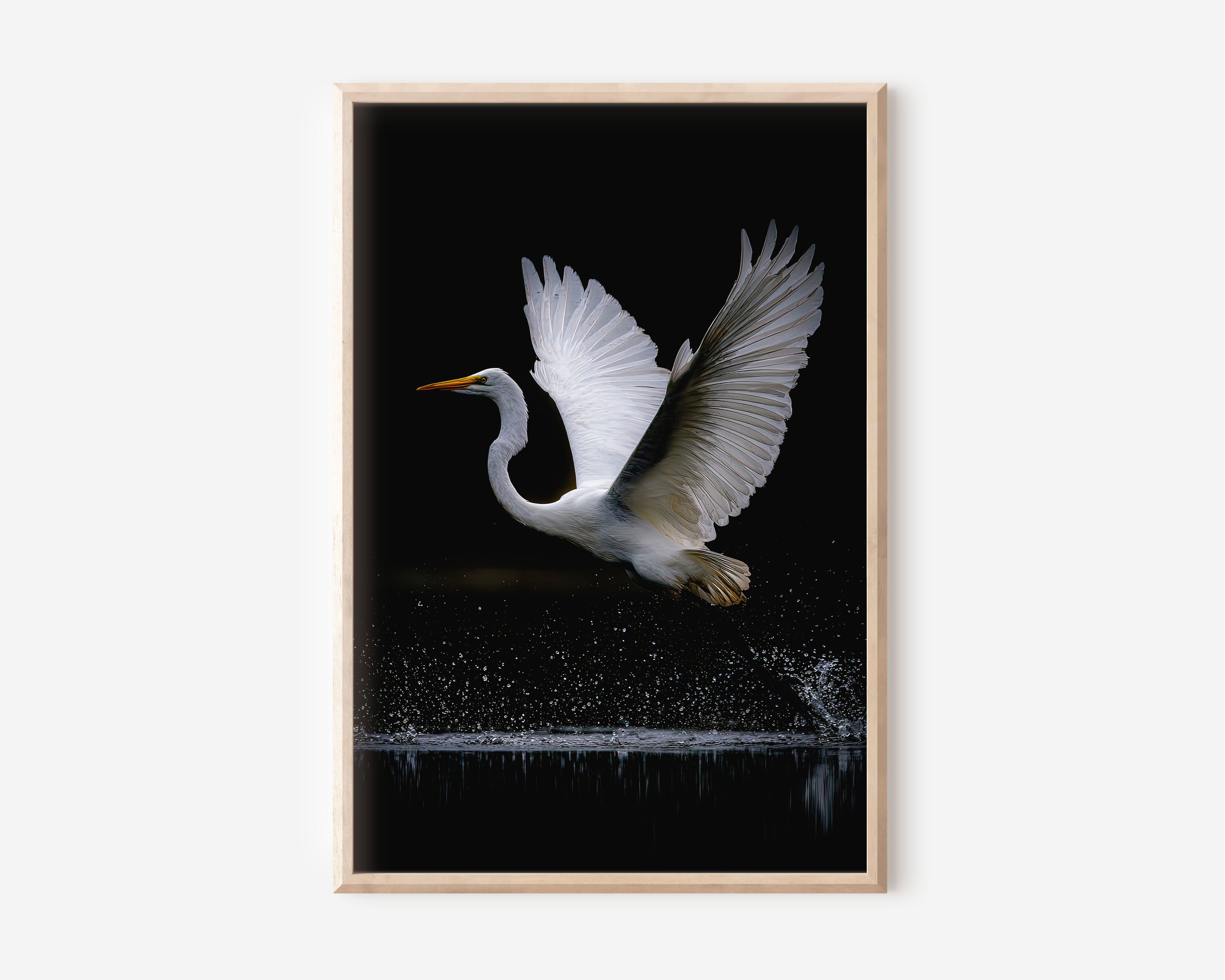 Elegant White Bird Wall Art – Minimalist Wildlife Canvas Print, Black Background Decor