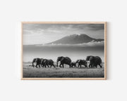 Elephants Under Mount Kilimanjaro Black & White Wall Art