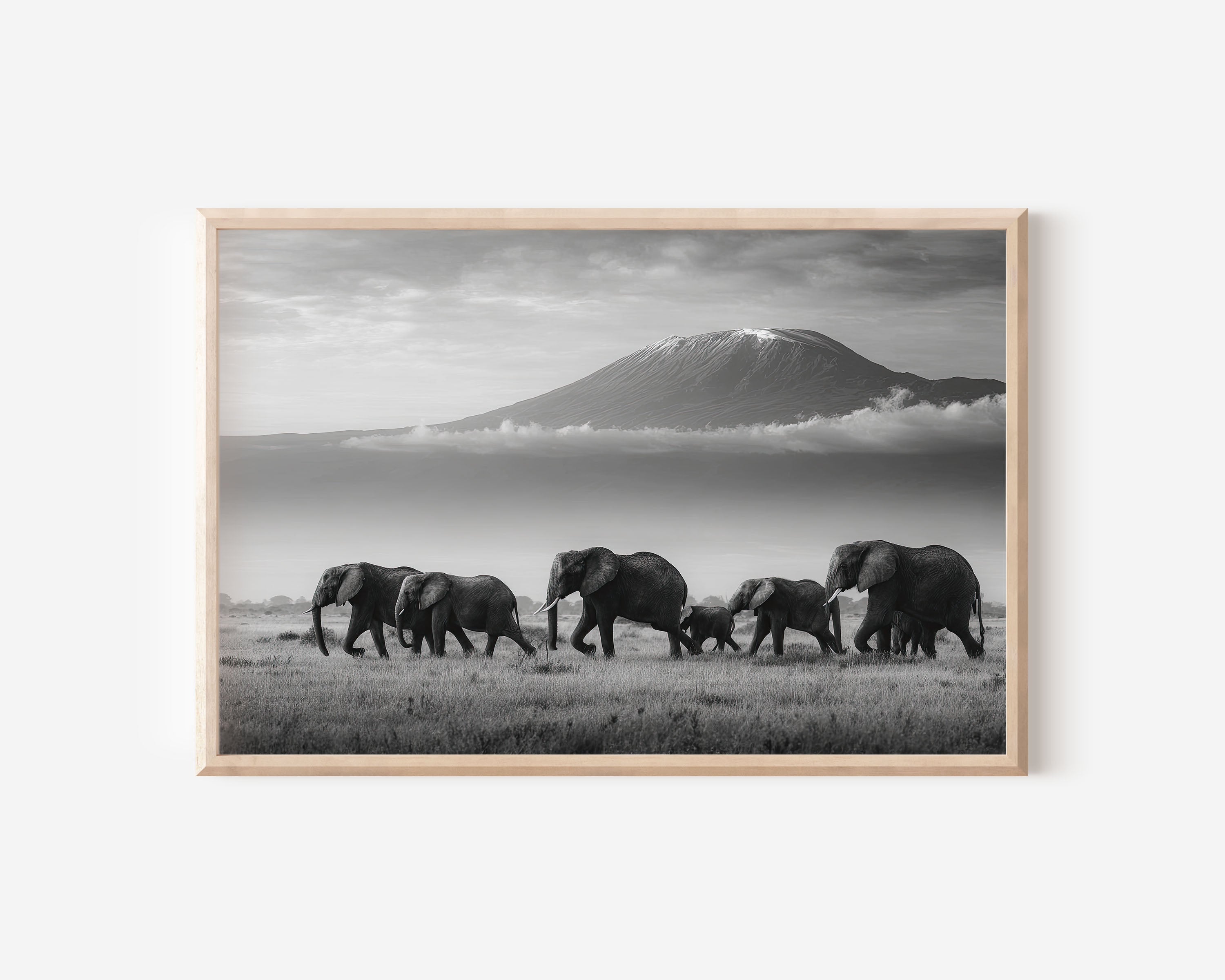 Elephants Under Mount Kilimanjaro Black & White Wall Art