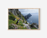 Atlantic Puffins Wall Art – Coastal Cliff Photography
