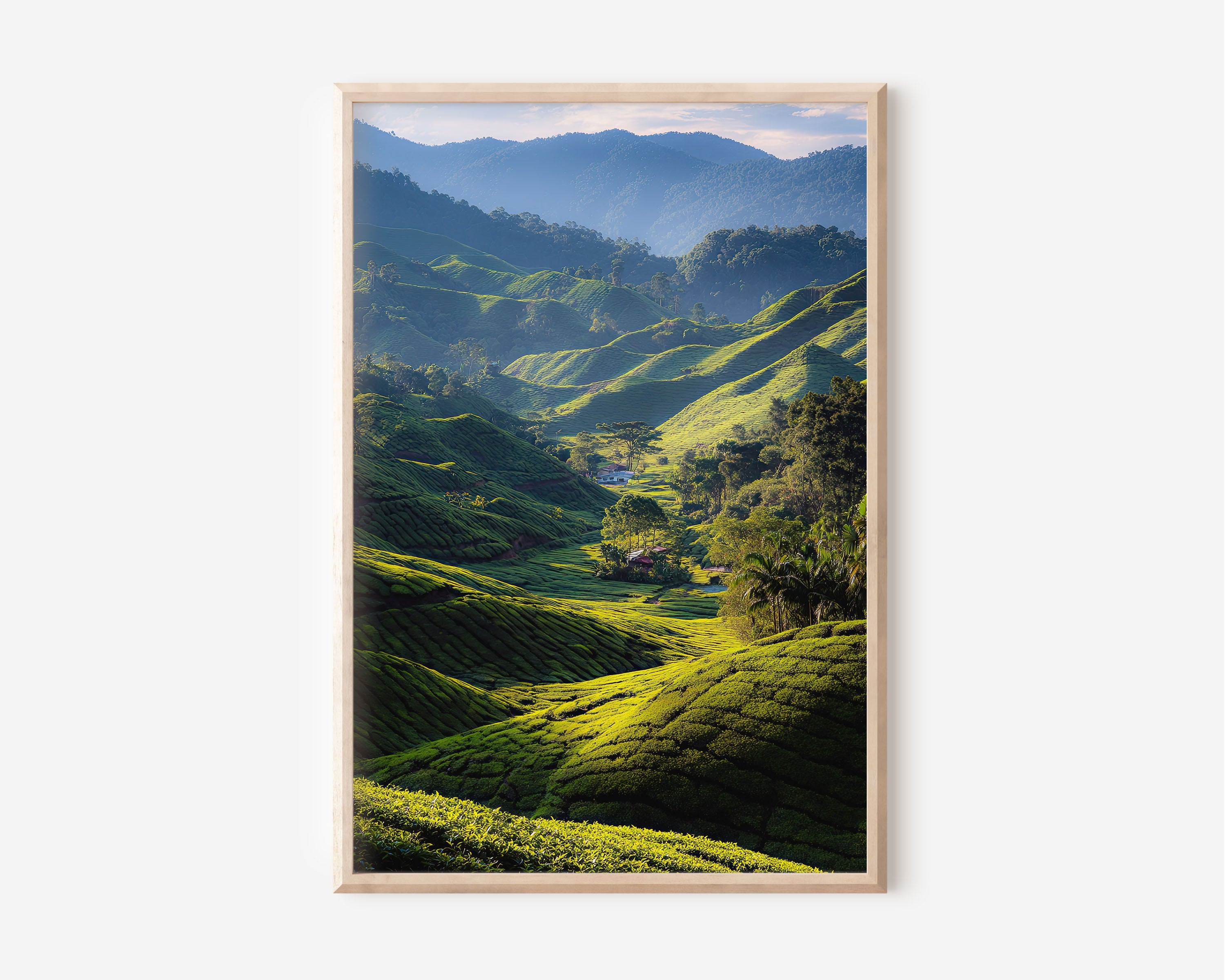 Cameron Highlands Tea Plantation Wall Art | Emerald Green Malaysia Landscape Print | Serene Nature Travel Photography