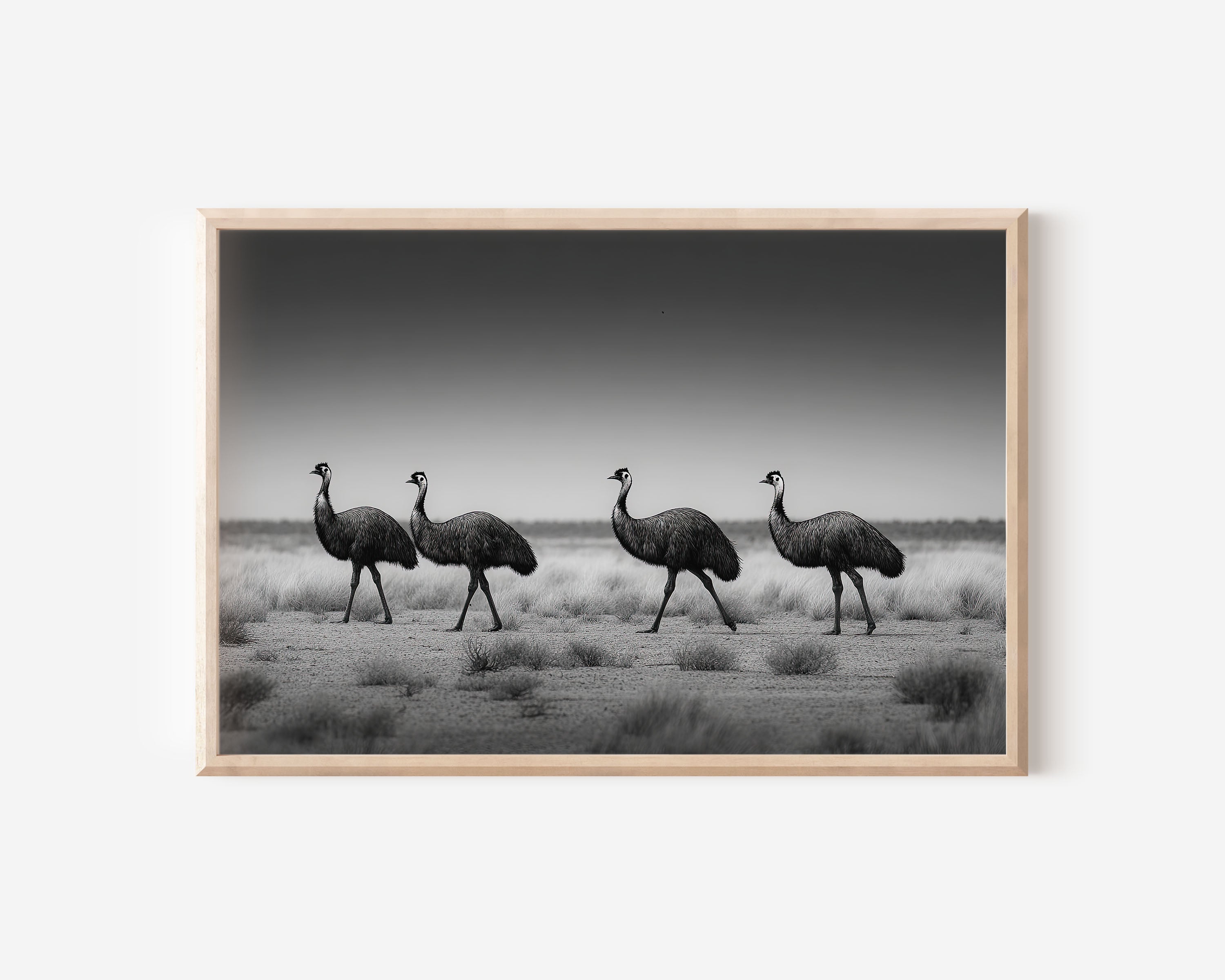 Emu Black & White Wildlife Wall Art Print