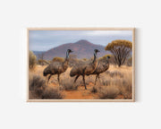 Australian Emu Trio Outback Wildlife Wall Art Print