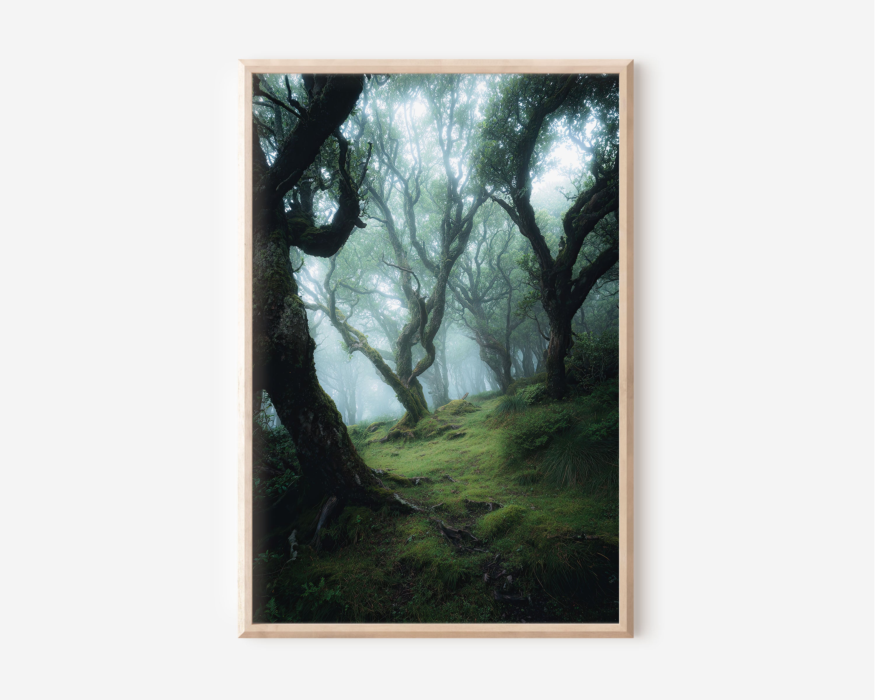 Fanal Laurel Forest Madeira Print | Enchanted Misty Forest Wall Art | Ancient Twisted Laurisilva Tree Landscape Photography Poster