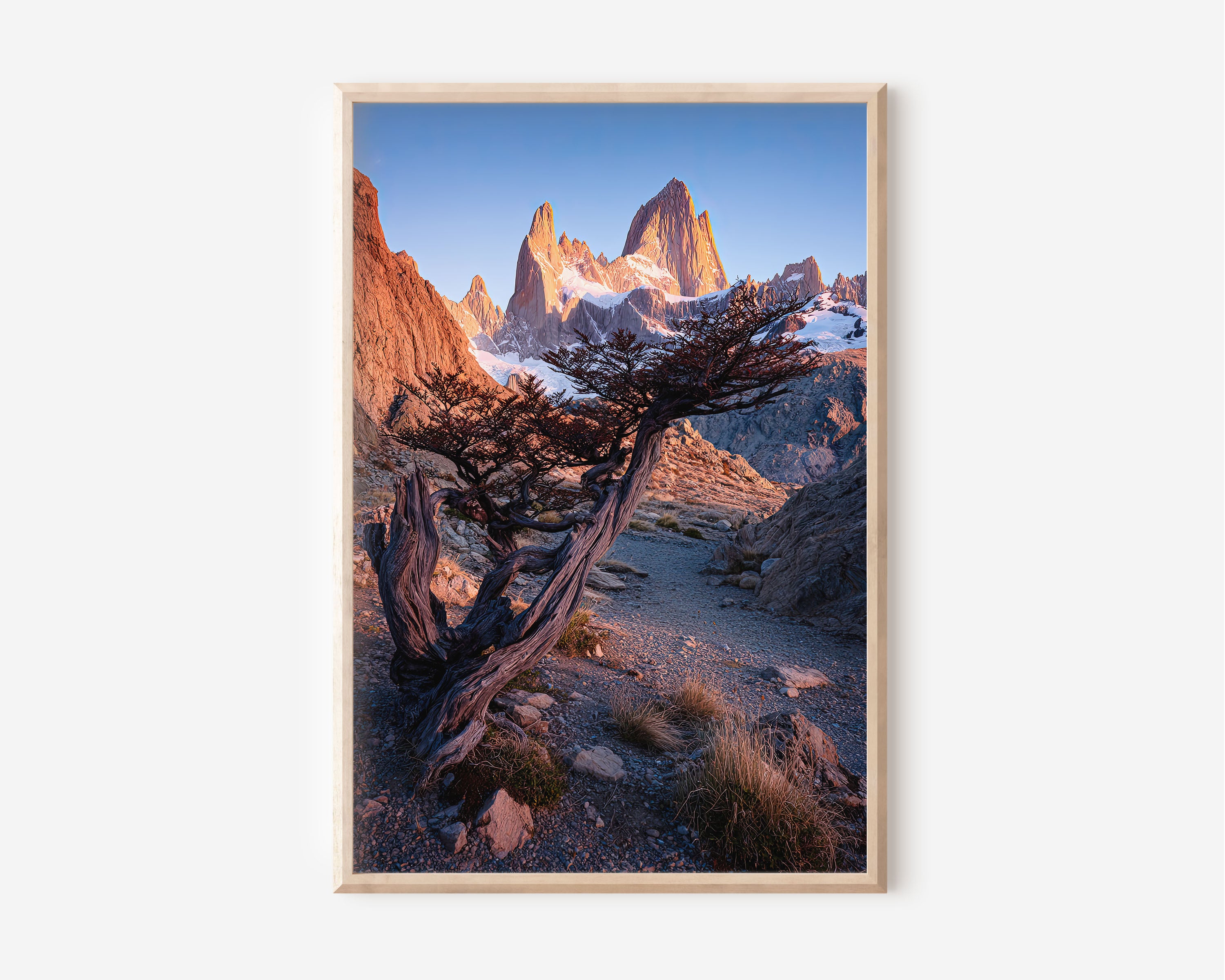 Fitz Roy Twisted Tree Sunrise Wall Art Print | Patagonia Argentina Photography | El Chaltén Rocky Trail Alpenglow Poster