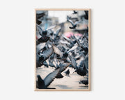 Pigeons Mid-Flight City Square Wall Art Print | Urban Street Photography | Contemporary Bird Nature Home Decor