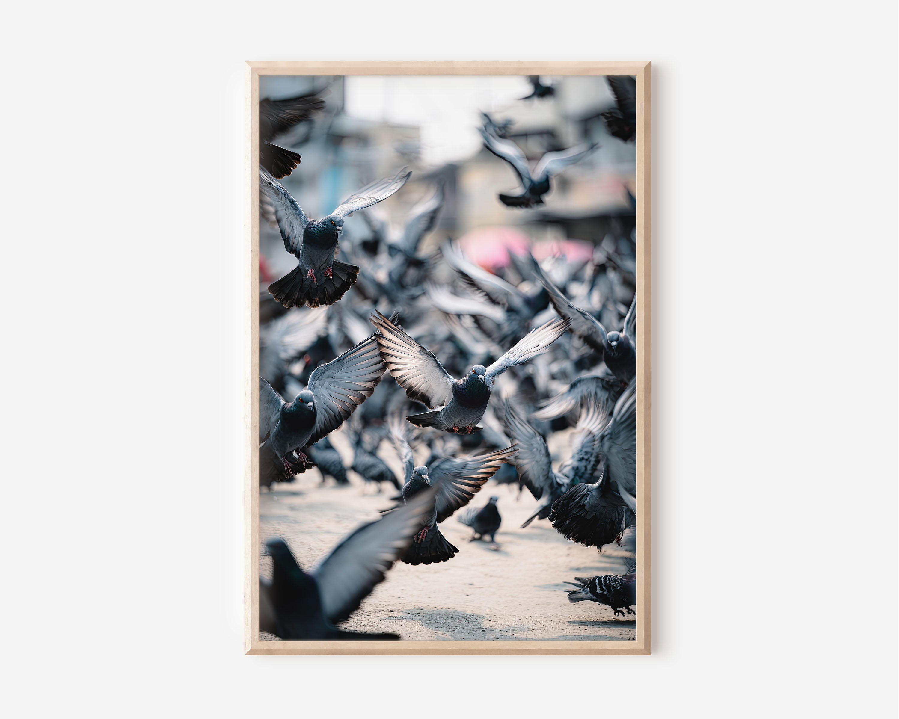 Pigeons Mid-Flight City Square Wall Art Print | Urban Street Photography | Contemporary Bird Nature Home Decor