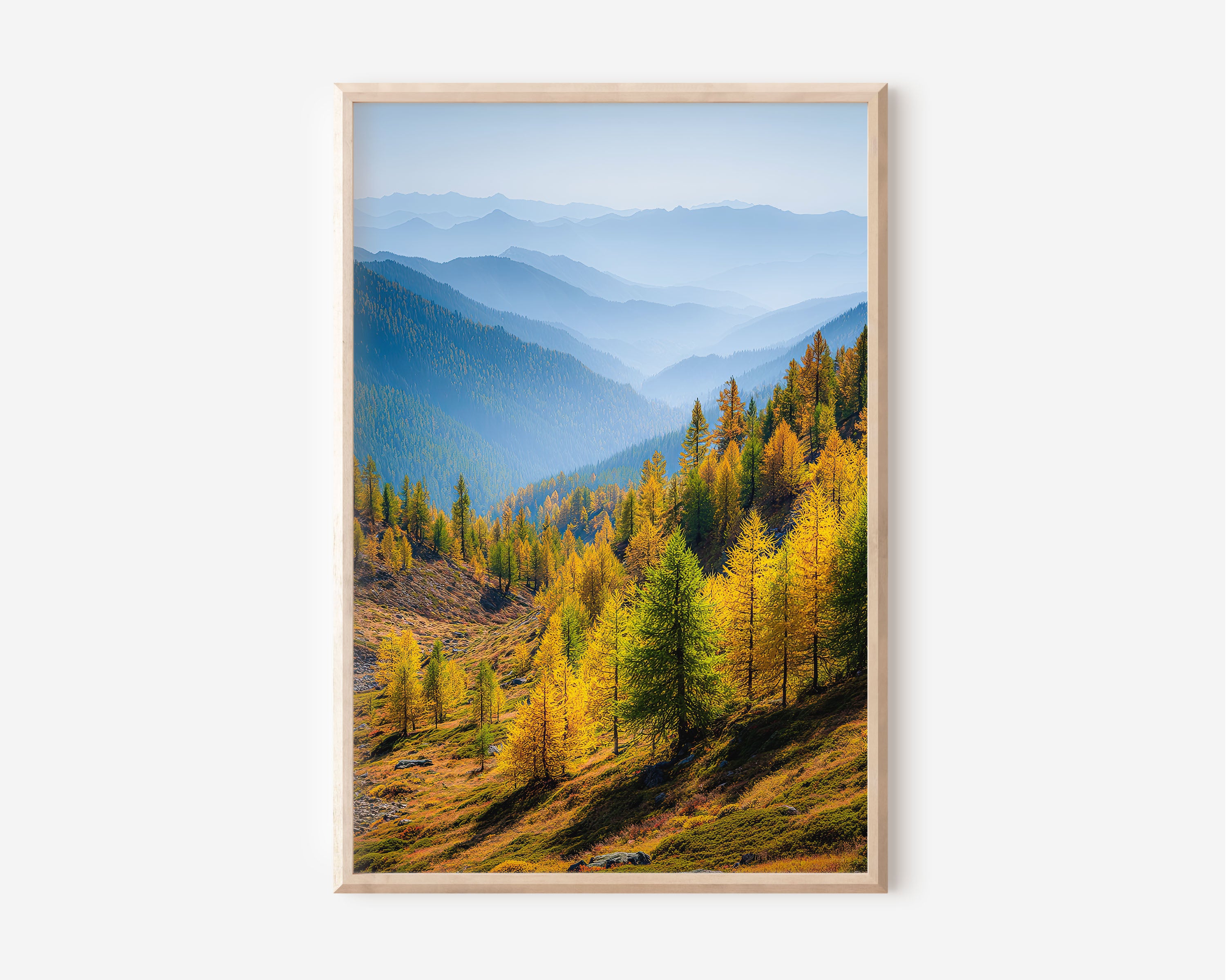 Autumn Forest Print | Yellow Larch Trees and Misty Blue Mountains | Alpine Valley Wall Art | Fall Landscape Photography Poster