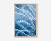 Frost Crystal Macro Wall Art Print | Hoarfrost Branch Close-Up Winter Photography | Ice Crystal Blue Nature Poster