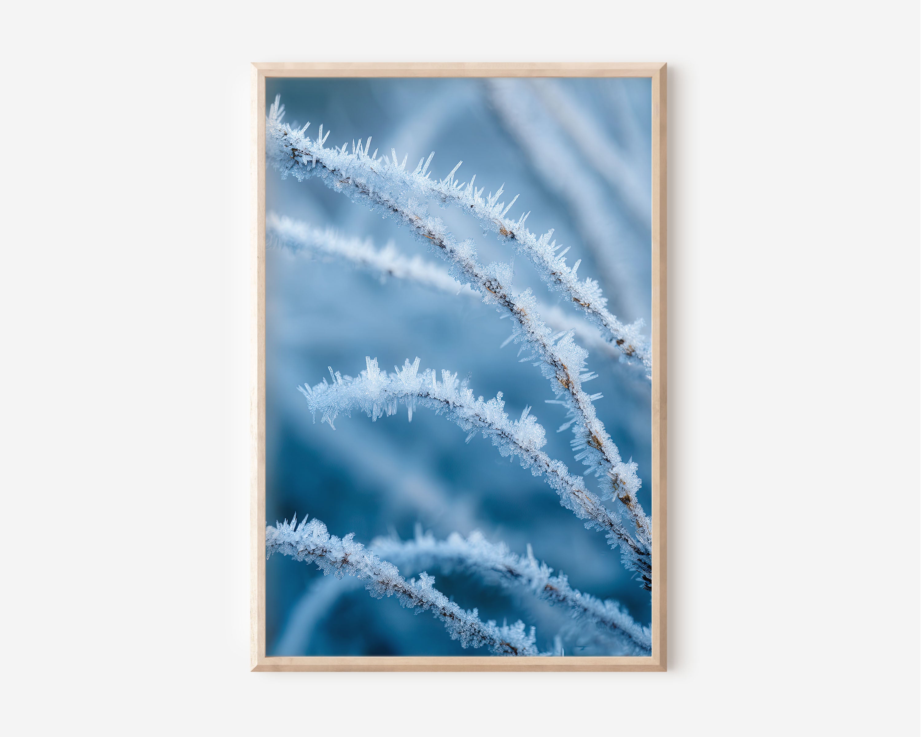 Frost Crystal Macro Wall Art Print | Hoarfrost Branch Close-Up Winter Photography | Ice Crystal Blue Nature Poster