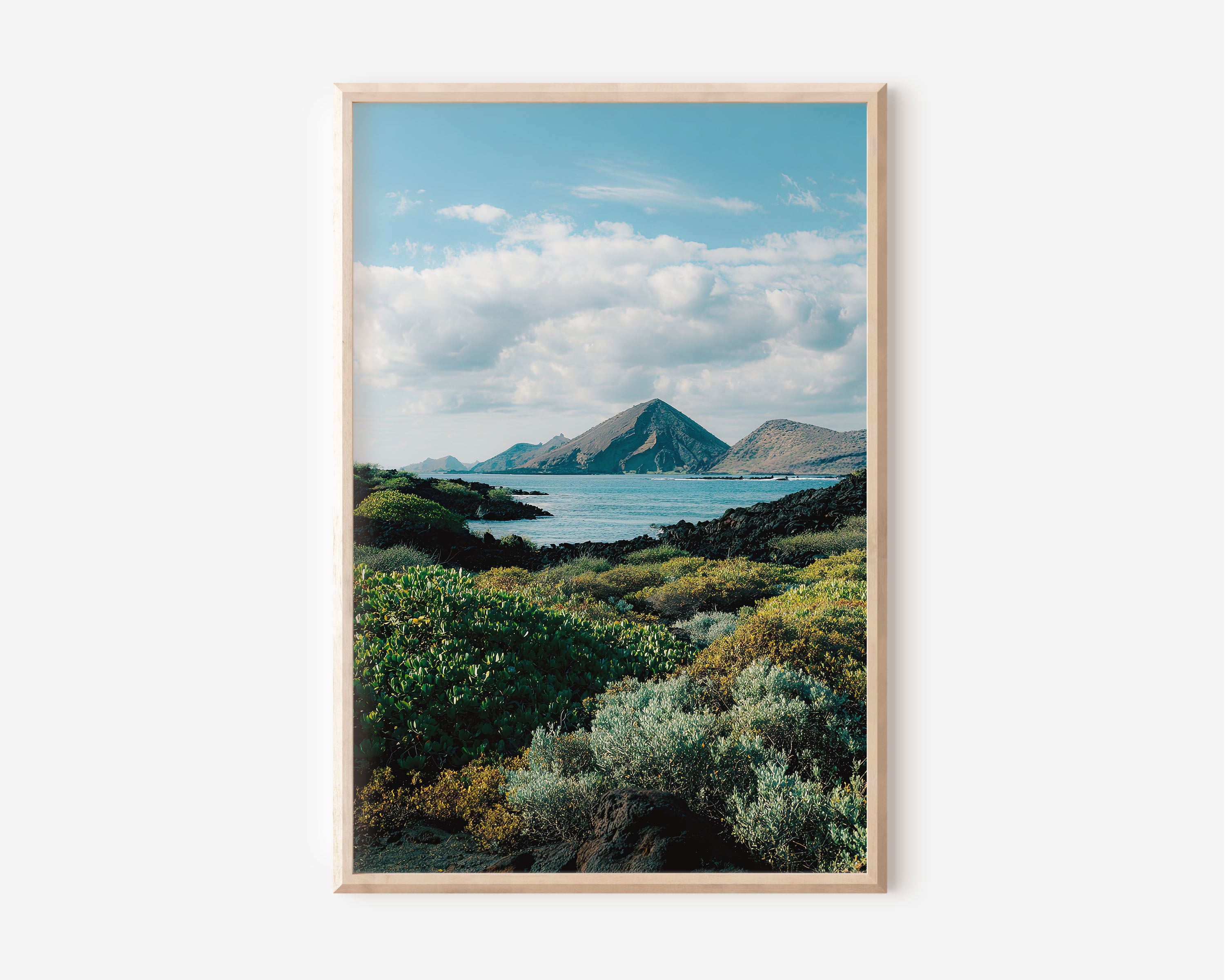 Galápagos Islands Shoreline Wall Art Print | Ecuador Volcanic Landscape Photography | Pacific Island Nature Poster | South America Wildlife Travel Print | Coastal Home Decor