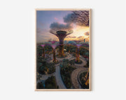 Gardens by the Bay Supertrees Sunset Wall Art | Singapore Skyline Futuristic Landscape Print | Asia Travel Photography