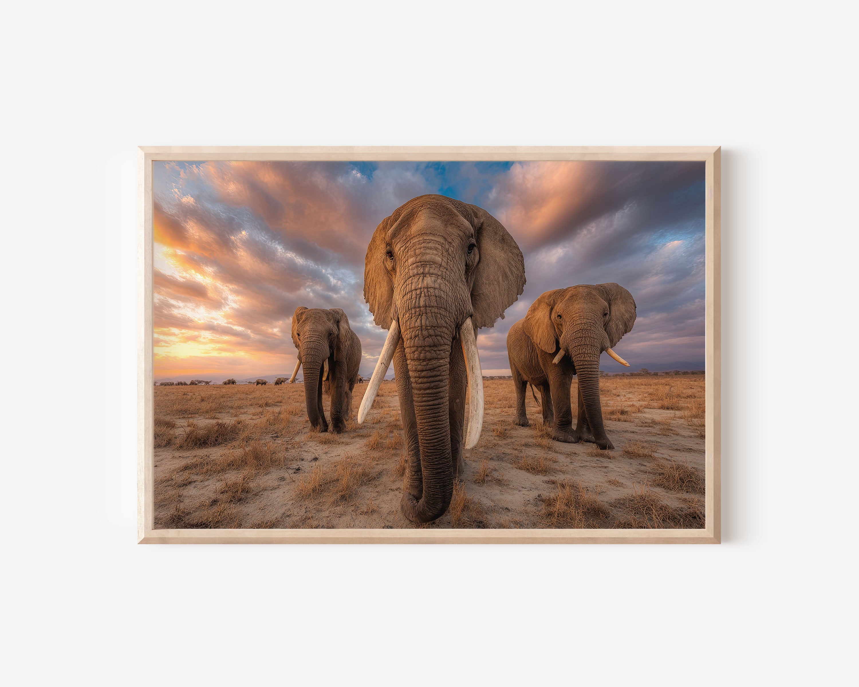 Giants of the Savannah – African Elephant Sunset Wall Art Print