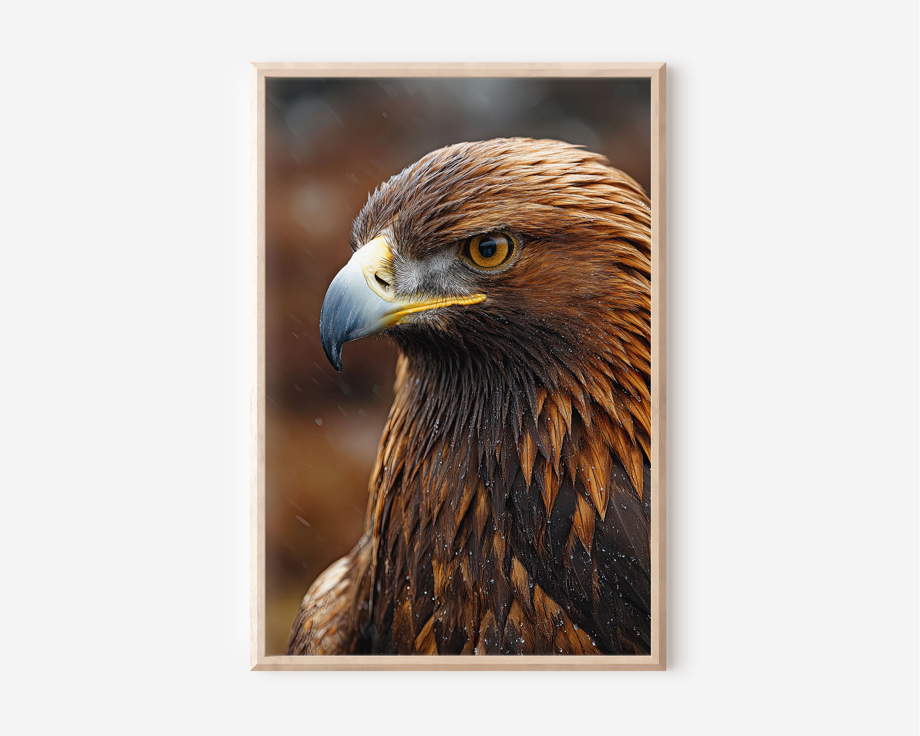 Golden Eagle Wall Art Print – Fierce Bird Close-Up Canvas & Framed Wildlife Photography Decor