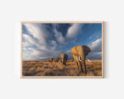 Golden Migration – Amboseli Elephant Herd Wall Art Print