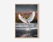 Graceful White Wings Wall Art – Elegant Bird Canvas Print, Serenity Nature Decor
