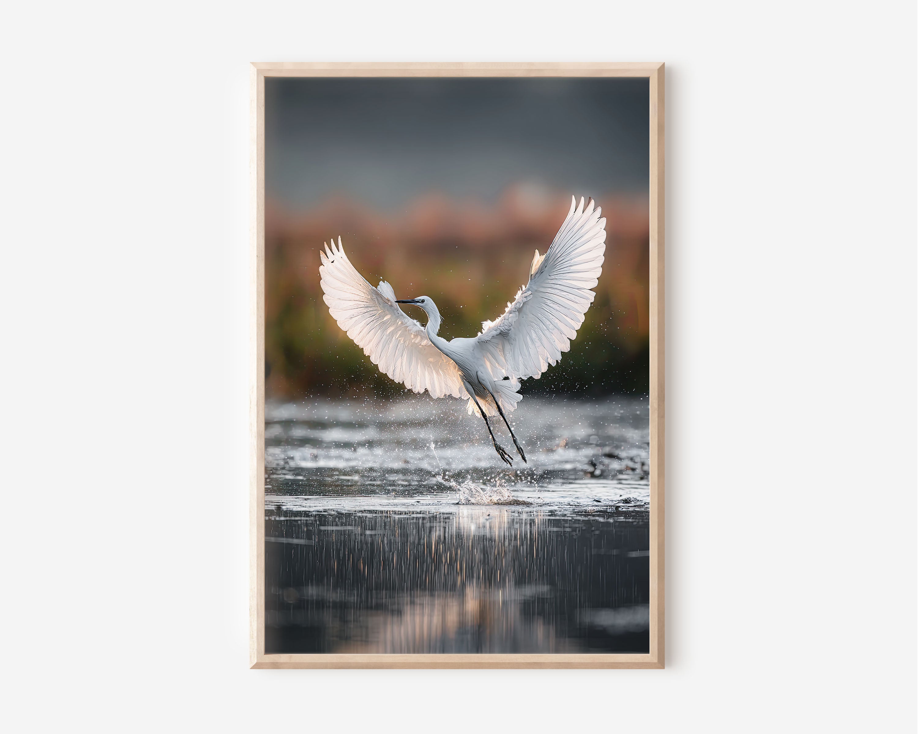 Graceful White Wings Wall Art – Elegant Bird Canvas Print, Serenity Nature Decor