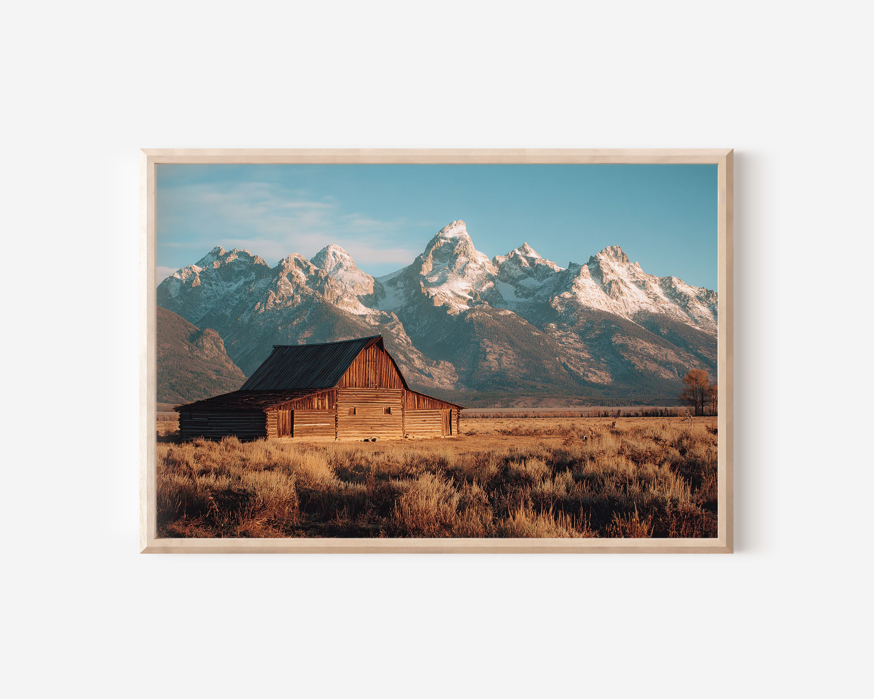 Grand Teton Barn Wall Art Print
