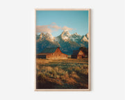 Grand Teton Barn Sunset Wall Art Print | Rustic Mountain Landscape Canvas