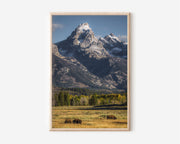 Grand Teton National Park Wall Art Print | Bison & Mountain Photography | Wyoming Landscape Poster | American West Nature Print | Wildlife Home Decor
