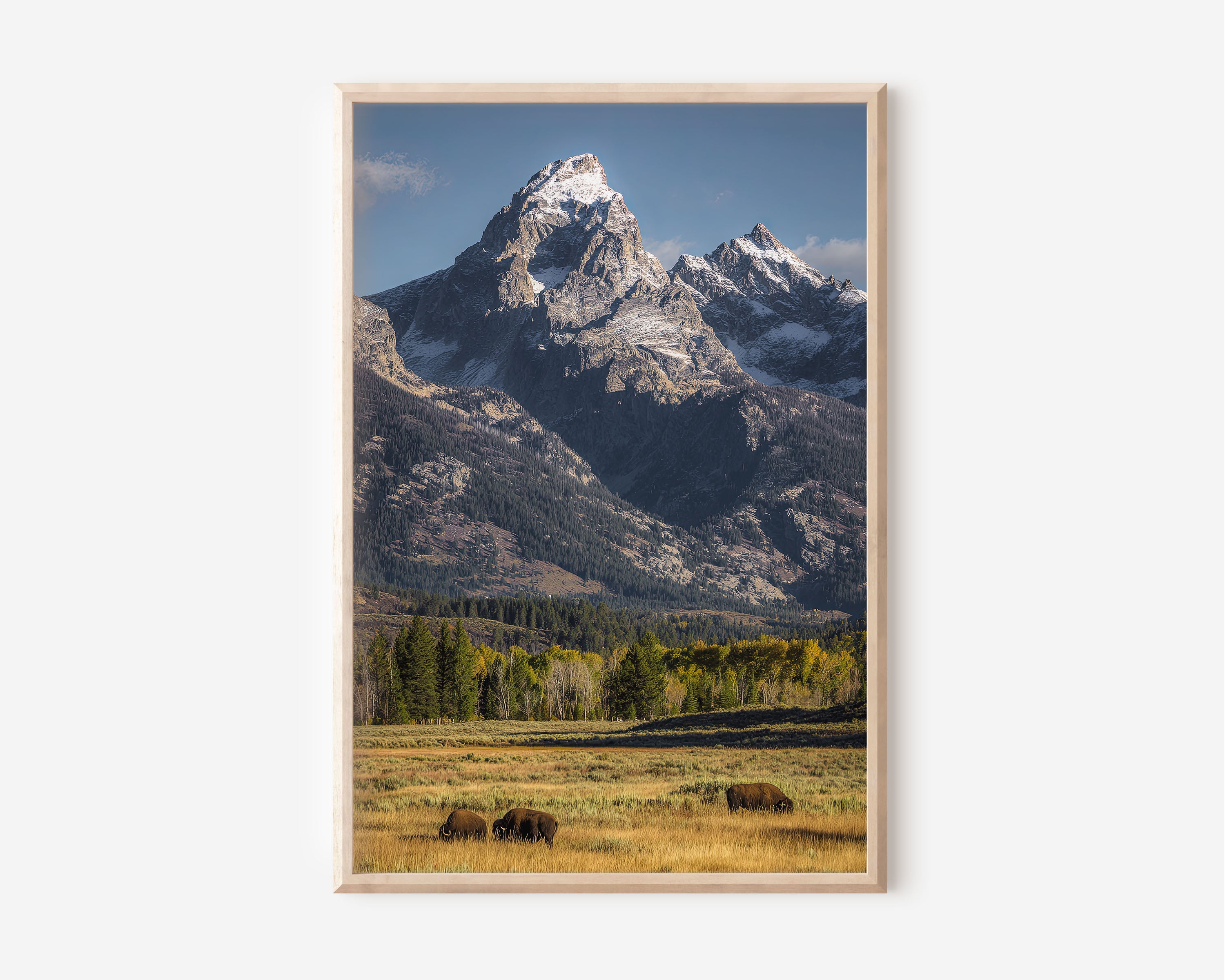 Grand Teton National Park Wall Art Print | Bison & Mountain Photography | Wyoming Landscape Poster | American West Nature Print | Wildlife Home Decor
