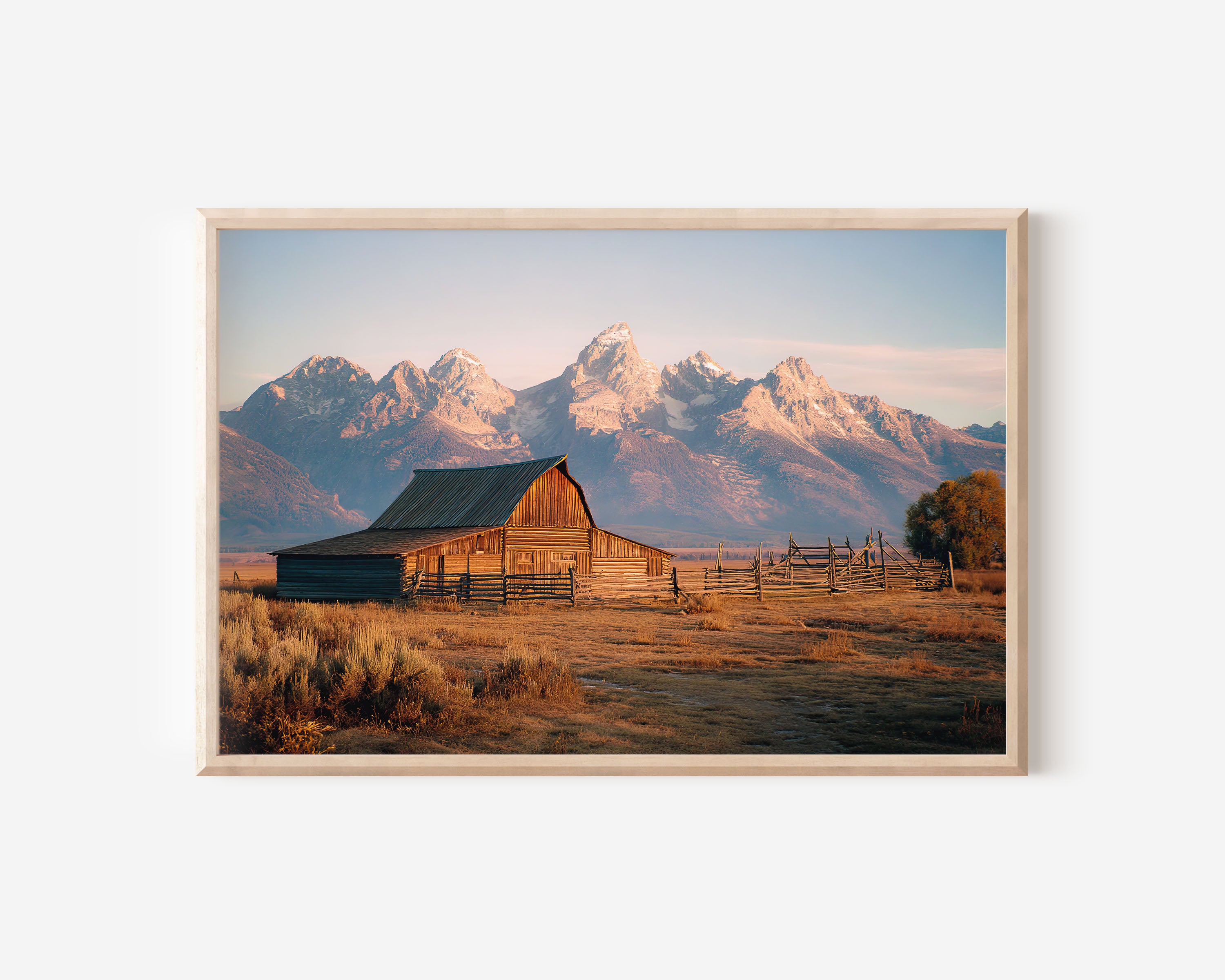 Grand Teton Rustic Barn Wall Art
