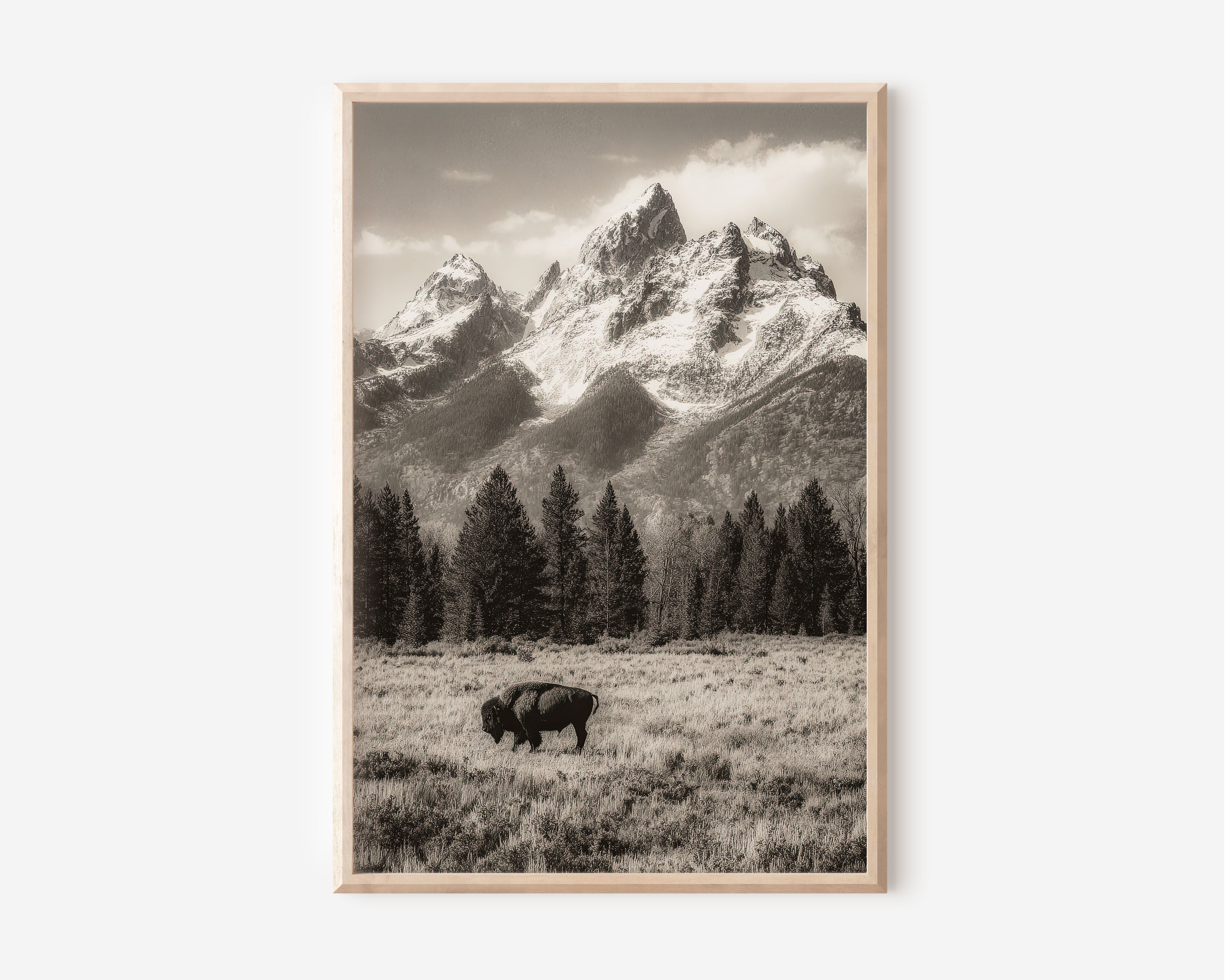 Grand Teton Bison Wall Art Print | Black & White Wyoming Photography | Sepia Mountain Landscape Poster | American West Wildlife Print | Rustic Home Decor
