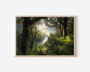 Haast Pass New Zealand Wall Art | Fiordland Rainforest Landscape Print