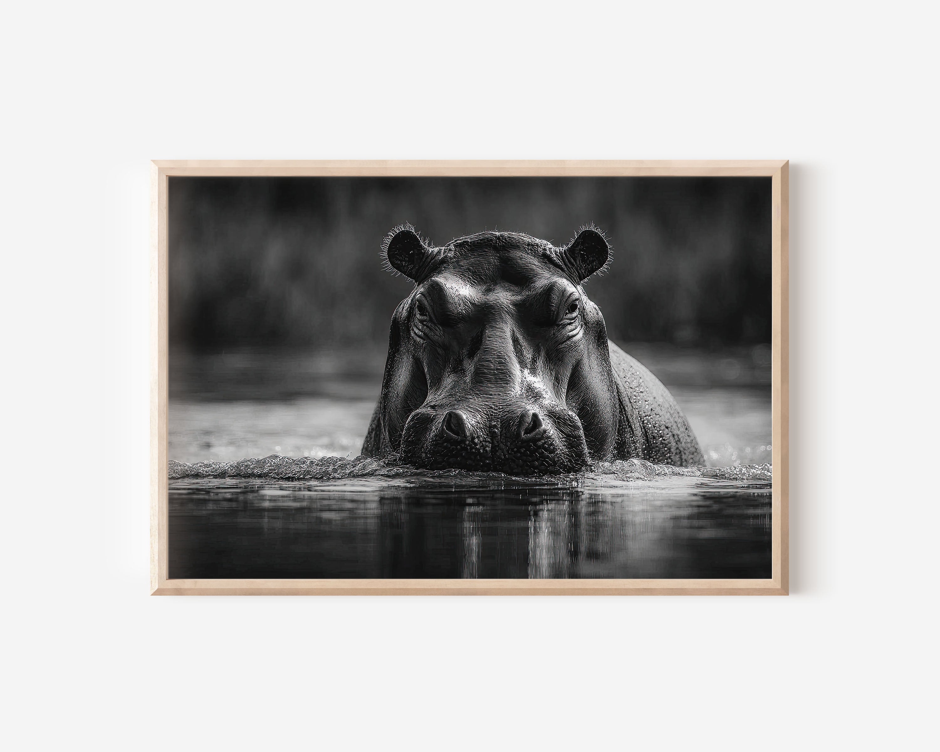 Hippo Black and White Wildlife Wall Art