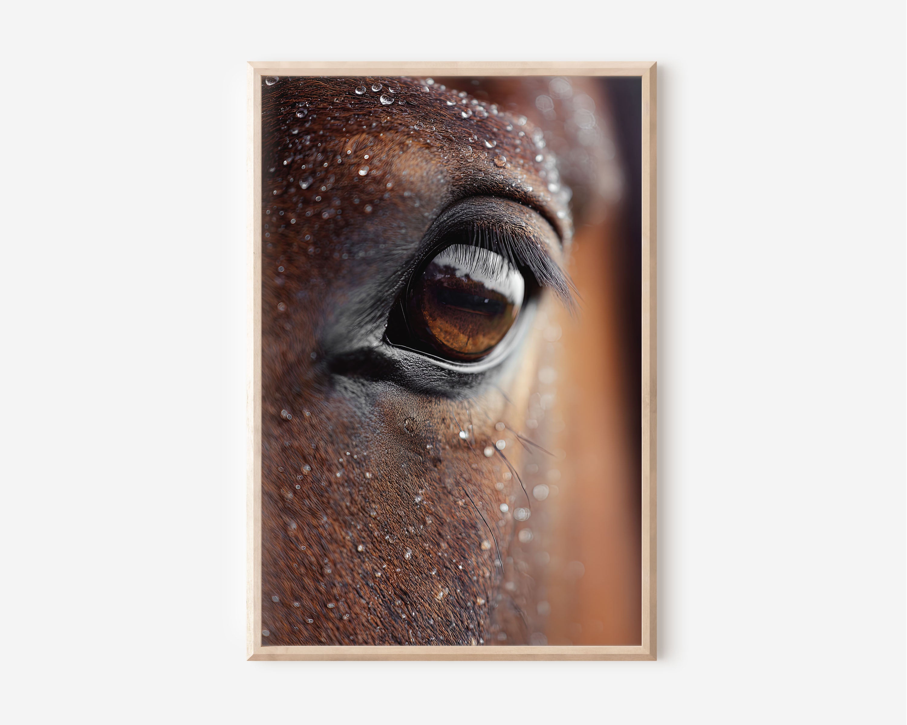Horse Eye Close-Up Rain Drops Wall Art | Dramatic Equine Portrait Photography Print | Animal Macro Nature Poster