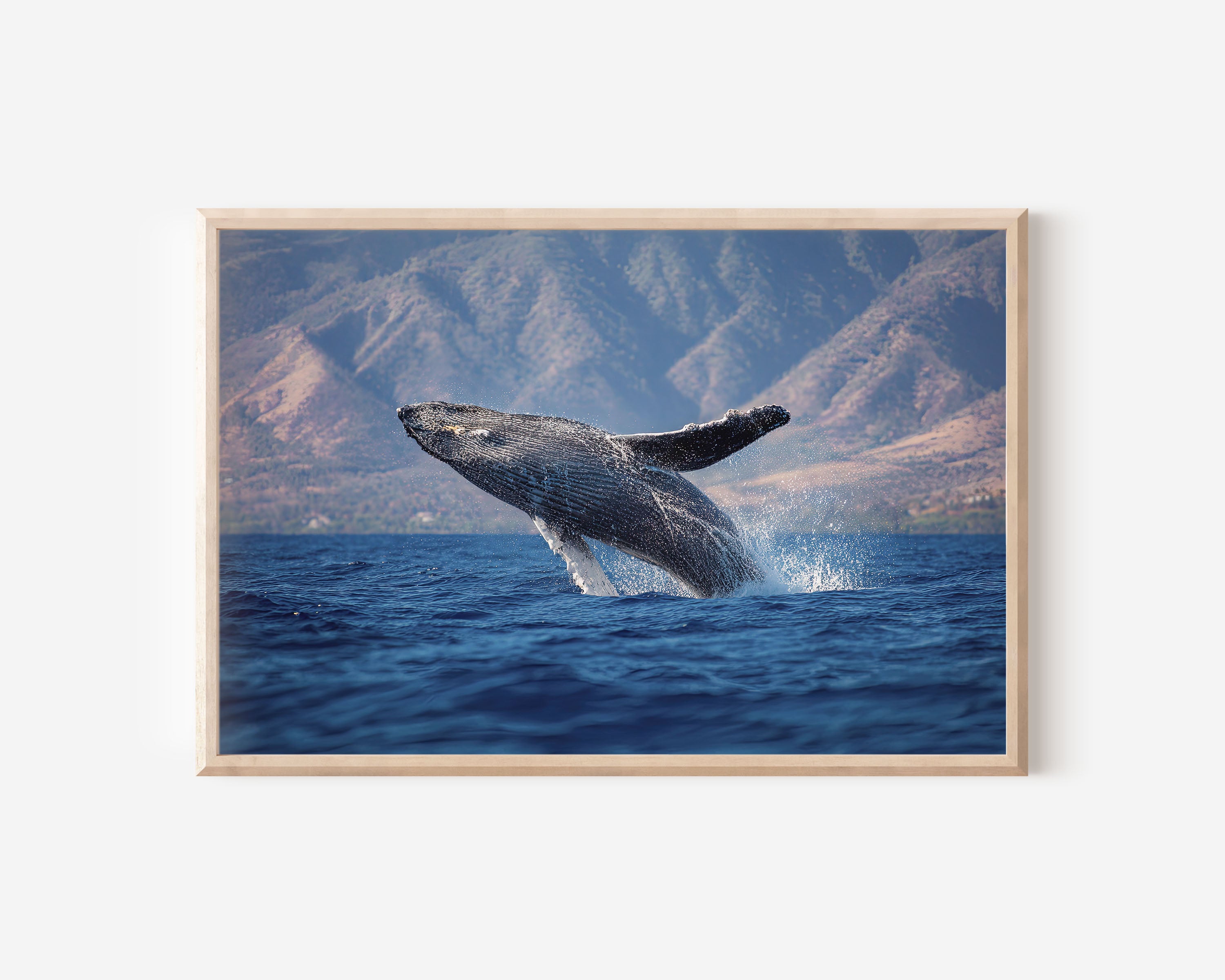 Humpback Whale Wall Art Print – Ocean Wildlife Canvas