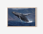 Humpback Whale Wall Art – Ocean Wildlife Photography Print
