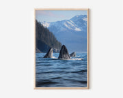 Humpback Whale Ocean Wall Art Print – Coastal Wildlife Canvas & Framed Sea Landscape Decor