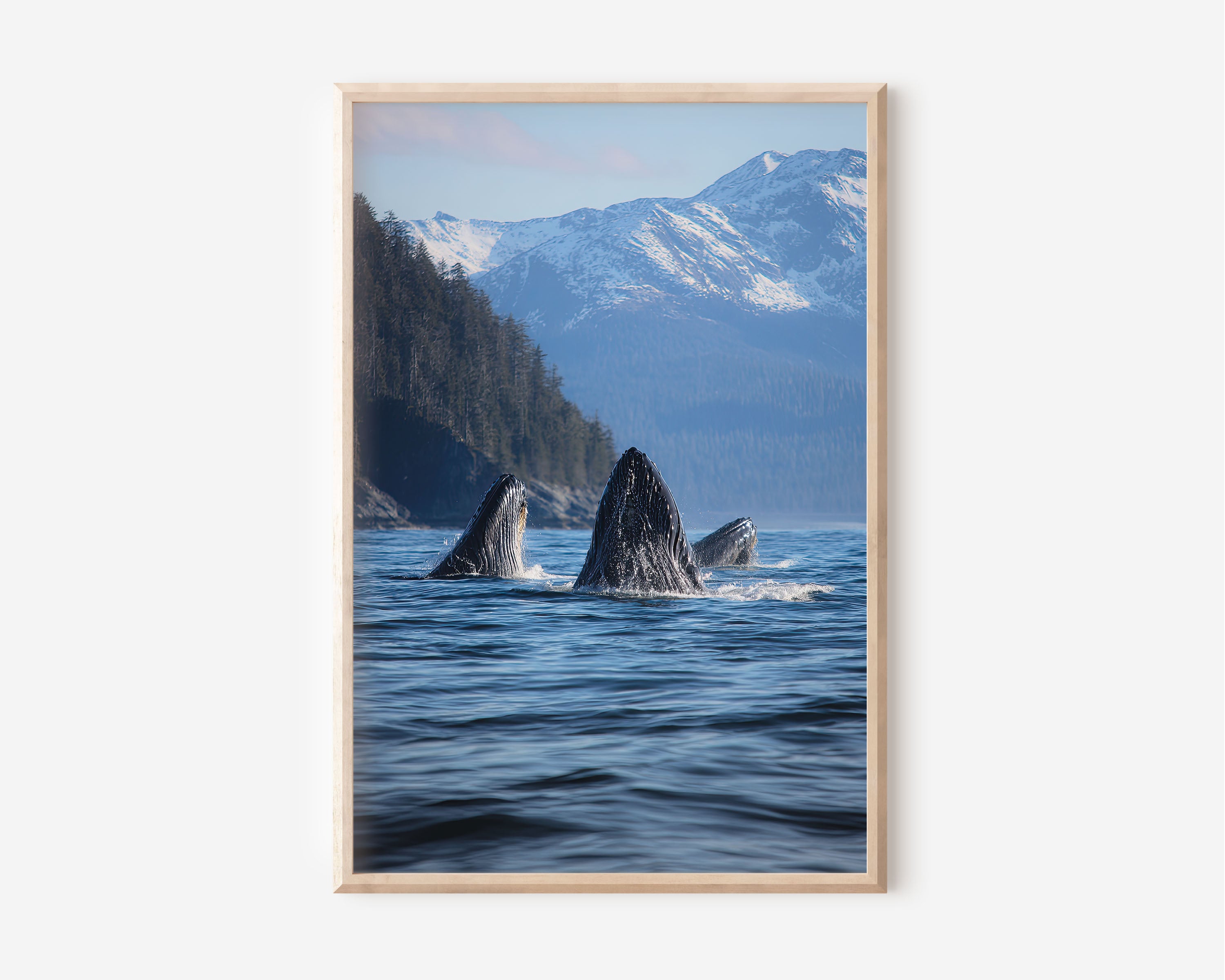 Humpback Whale Ocean Wall Art Print – Coastal Wildlife Canvas & Framed Sea Landscape Decor