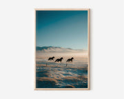 Iceland Horses Running Snow Field Wall Art | Wild Icelandic Horse Winter Landscape Print | Nordic Animal Photography