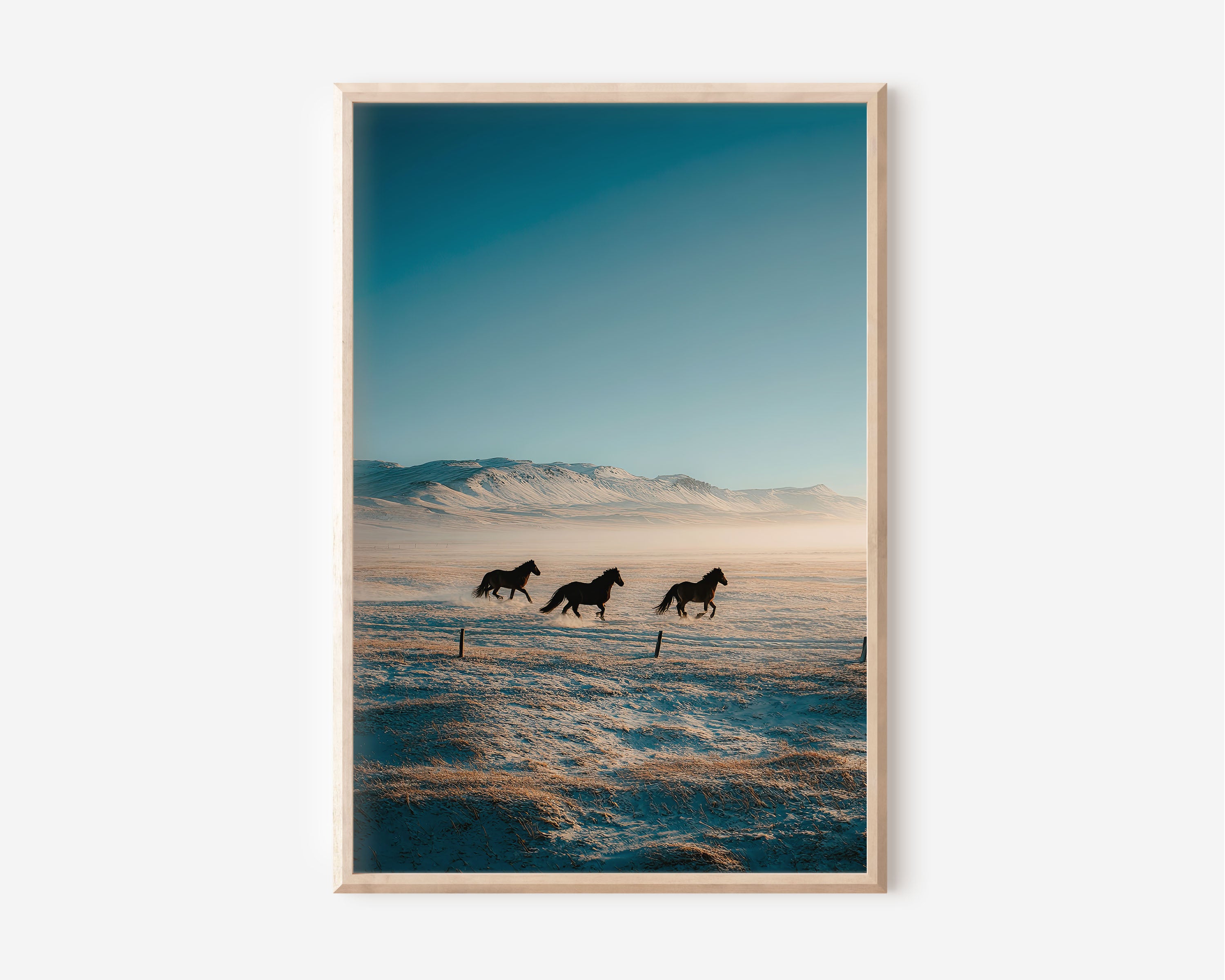 Iceland Horses Running Snow Field Wall Art | Wild Icelandic Horse Winter Landscape Print | Nordic Animal Photography