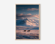 Iceland Two Horses Snow Mountain Sunset Wall Art | Icelandic Winter Landscape Equine Print | Nordic Travel Photography