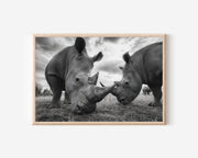 Black and White Rhino Wall Art – African Wildlife Photography