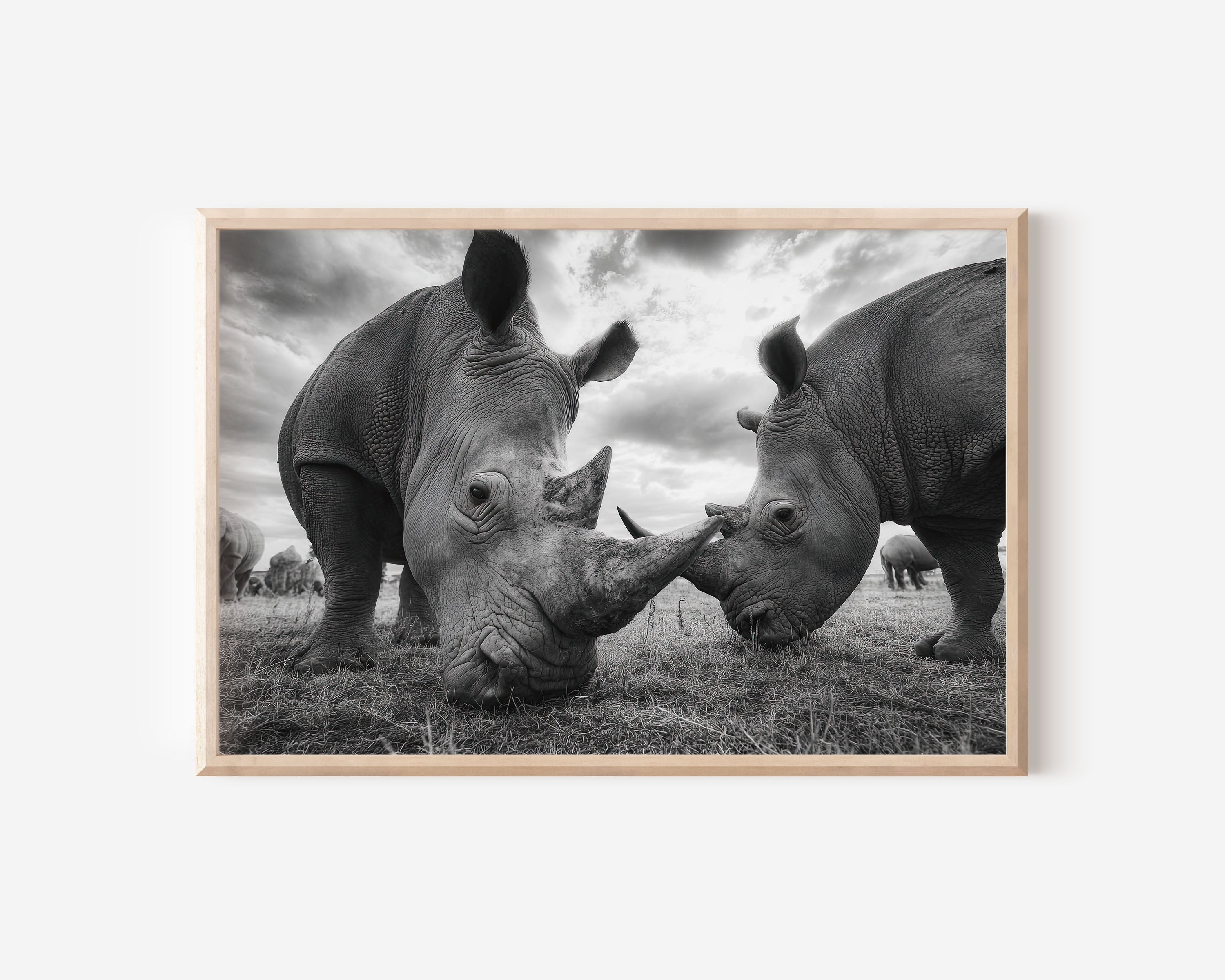 Black and White Rhino Wall Art – African Wildlife Photography